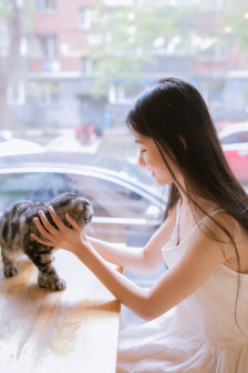 台剧约定电视剧